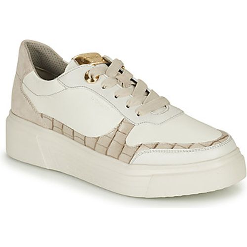 ALLEGRA 3 women's Shoes (Trainers) in - Stonefly - Modalova