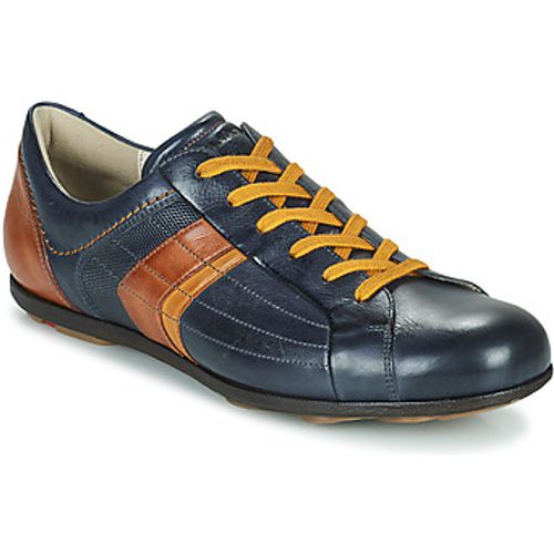 BENSON men's Shoes (Trainers) in - Lloyd - Modalova