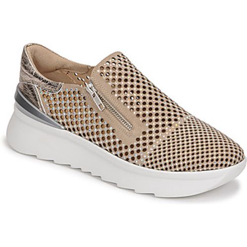 ACCIAIO women's Shoes (Trainers) in - Fru.it - Modalova