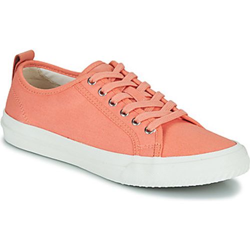 Roxby Lace women's Shoes (Trainers) in - Clarks - Modalova