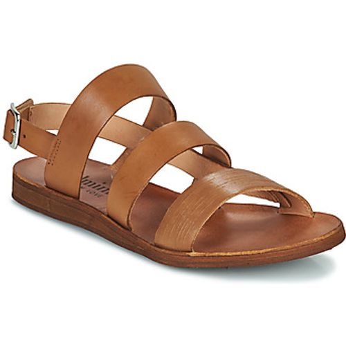 CAROLINA women's Sandals in - Felmini - Modalova