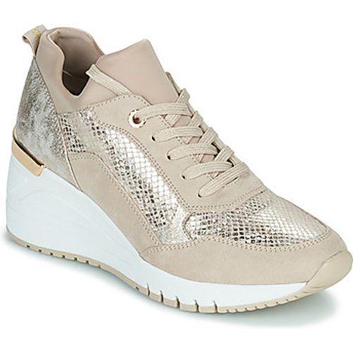 MUNISKA women's Shoes (Trainers) in - marco tozzi - Modalova