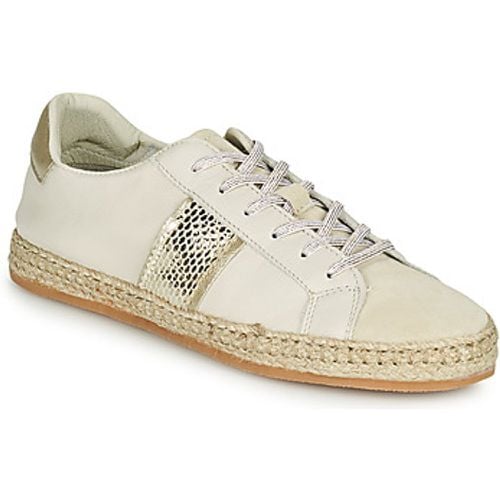 NECE women's Shoes (Trainers) in - Betty London - Modalova