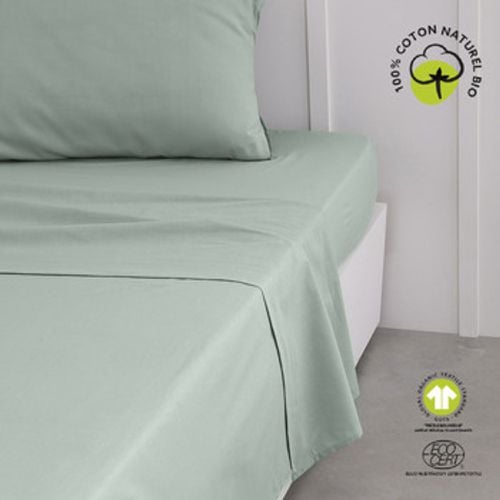 Drap Plat 240/300 Coton Organic Celadon 's Sheet in - Today - Modalova