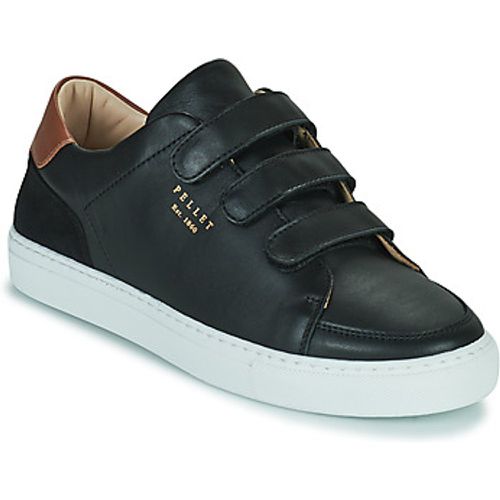 SID men's Shoes (Trainers) in - Pellet - Modalova