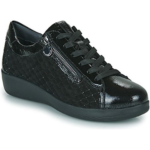 PASEO IV 35 women's Shoes (Trainers) in - Stonefly - Modalova