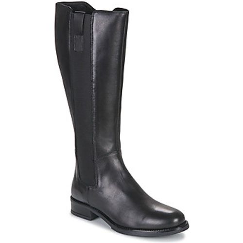 TBC women's High Boots in - Jonak - Modalova