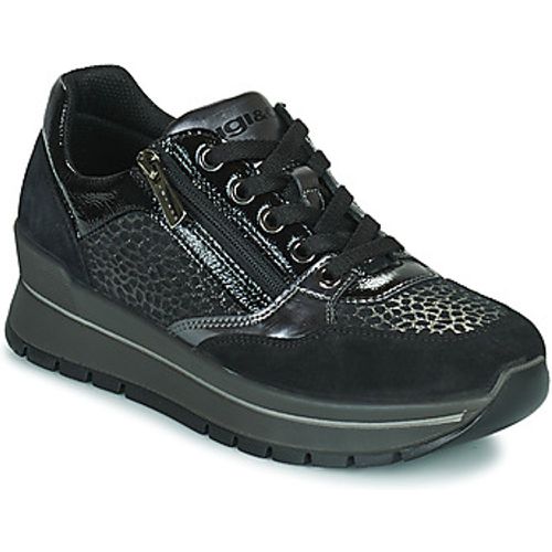 IgI&CO DONNA ANISIA women's Shoes (Trainers) in - IGI&Co - Modalova