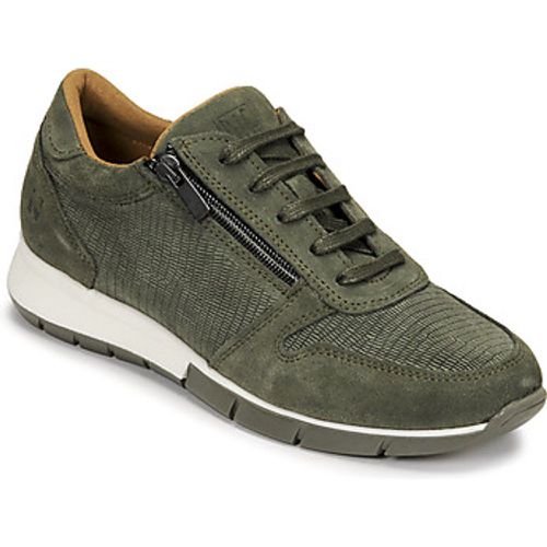 Dream in ARTEMISIA women's Shoes (Trainers) in - Dream in Green - Modalova