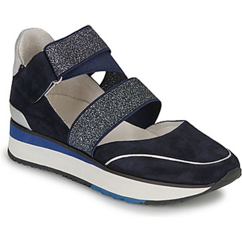 XARI women's Shoes (Trainers) in - Adige - Modalova