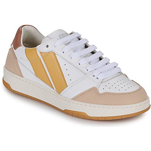 SPORT SLASH women's Shoes (Trainers) in - Caval - Modalova