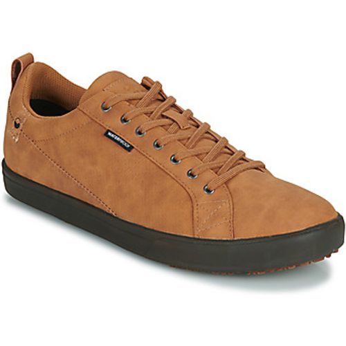 CANNON WP men's Shoes (Trainers) in - Saola - Modalova