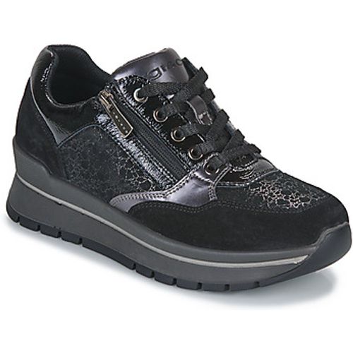 IgI&CO DONNA ANIKA 1 women's Shoes (Trainers) in - IGI&Co - Modalova