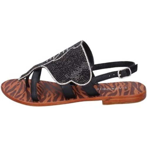 BC595 women's Sandals in - Café Noir - Modalova