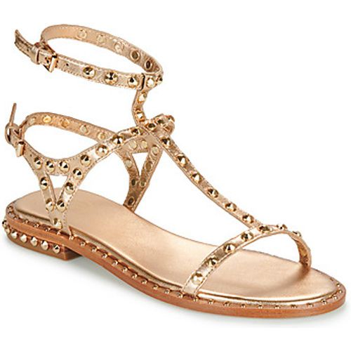 Ash PANIC women's Sandals in Gold - Ash - Modalova