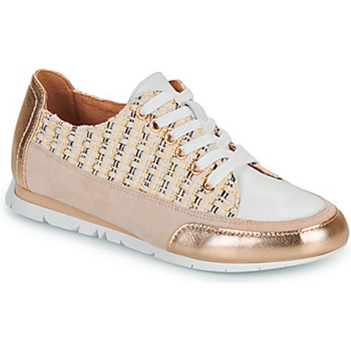 CAMINO women's Shoes (Trainers) in - Karston - Modalova