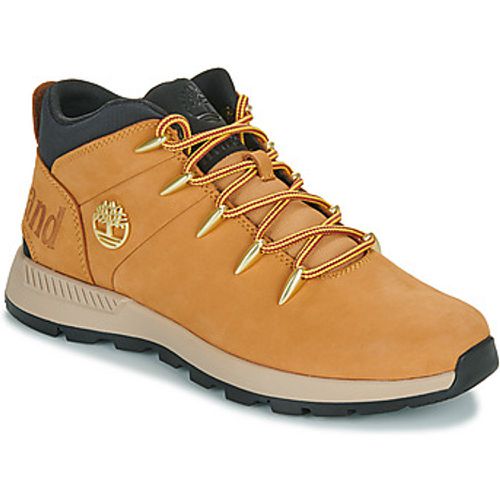 SPRINT TREKKER men's Shoes (High-top Trainers) in - Timberland - Modalova