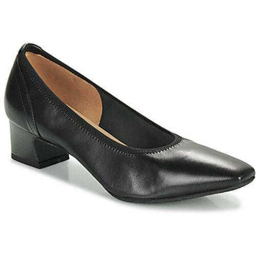 ANIL-NOIR women's Court Shoes in - Otess / Zoï - Modalova