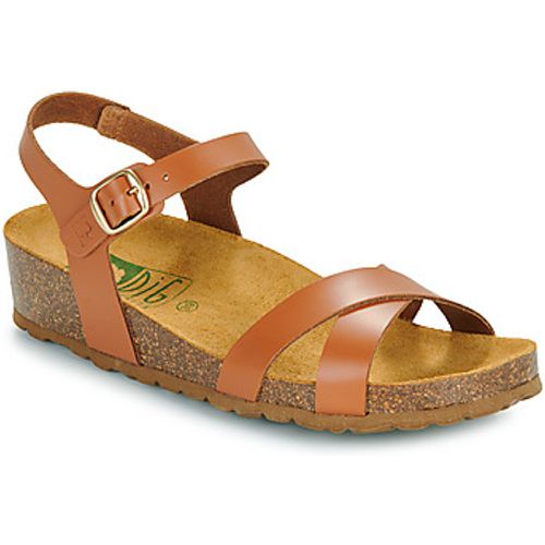 TSILI women's Sandals in - Dream in Green - Modalova