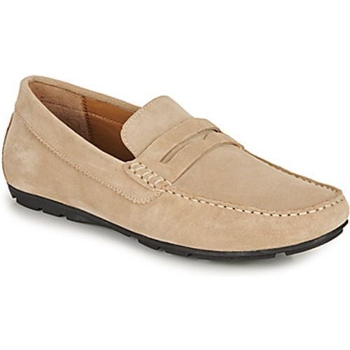 SAILHAN men's Loafers / Casual Shoes in - TBS - Modalova