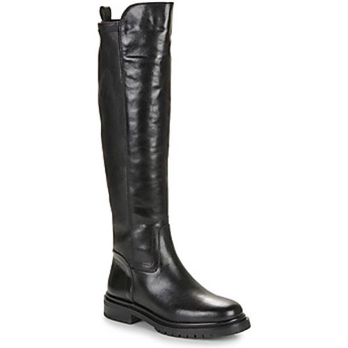 OTTER women's High Boots in - JB Martin - Modalova