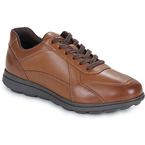 U SPHERICA EC12 men's Shoes (Trainers) in - Geox - Modalova