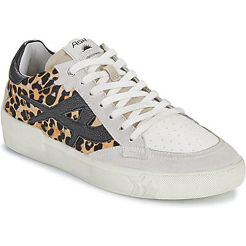 MOONLIGHT women's Shoes (Trainers) in - Ash - Modalova