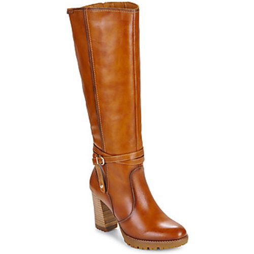 CONNELLY W7M women's High Boots in - Pikolinos - Modalova