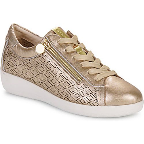 PASEO IV 29 LAMINATED LTH women's Shoes (Trainers) in - Stonefly - Modalova