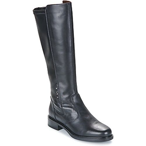 I308812D-100 women's High Boots in - NeroGiardini - Modalova