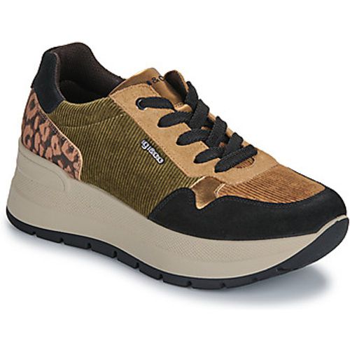 IgI&CO D.KOLA women's Shoes (Trainers) in - IGI&Co - Modalova