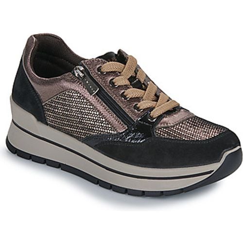 IgI&CO DONNA ANIKA women's Shoes (Trainers) in - IGI&Co - Modalova