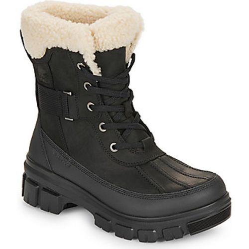 TORINO V PARC WP women's Snow boots in - Sorel - Modalova