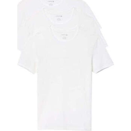 Lounge 3 Pack Plain Cotton T-Shirt men's in - Lacoste - Modalova