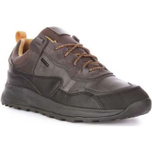 U Terrestre B men's Trainers in - Geox - Modalova