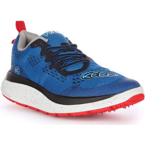 Keen Wk400 men's Trainers in Blue - Keen - Modalova