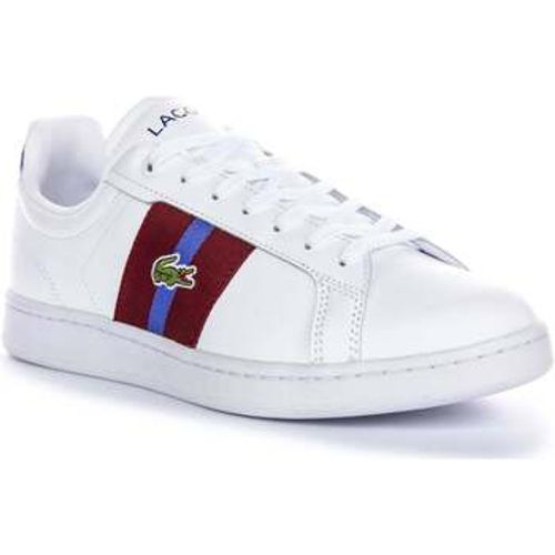 Carnaby Pro CGR 124 1 SMA Mens Lace Up Burgundy men's Trainers in - Lacoste - Modalova