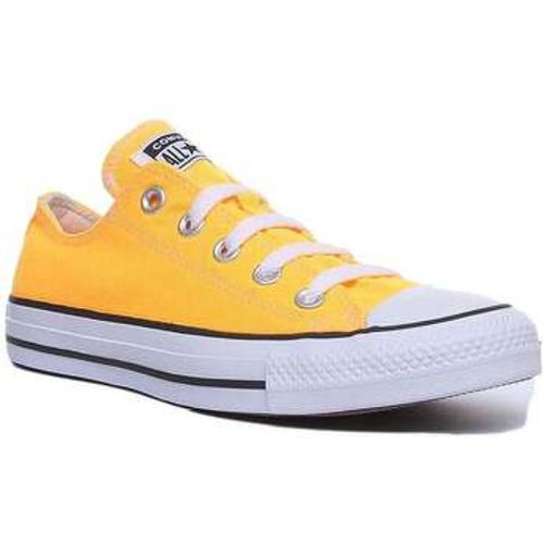 C CT All Star Low Trainer women's Trainers in - Converse - Modalova