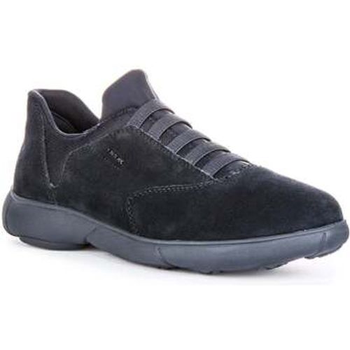 U Nebula 2.0 F men's Trainers in - Geox - Modalova