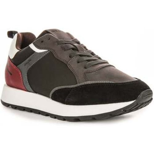 U Partenio B men's Trainers in - Geox - Modalova