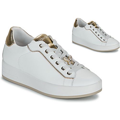 IgI&CO D.ALINA women's Shoes (Trainers) in - IGI&Co - Modalova