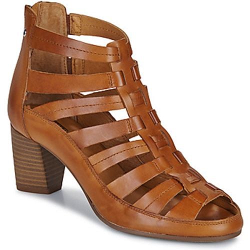 CAMPELLO W4X women's Sandals in - Pikolinos - Modalova