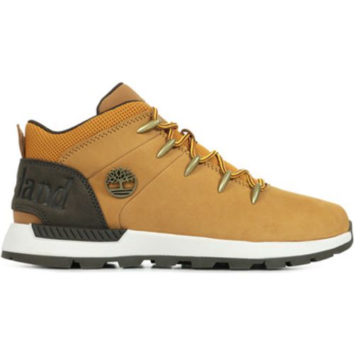 Herrenstiefel Sprint Trekker - Timberland - Modalova