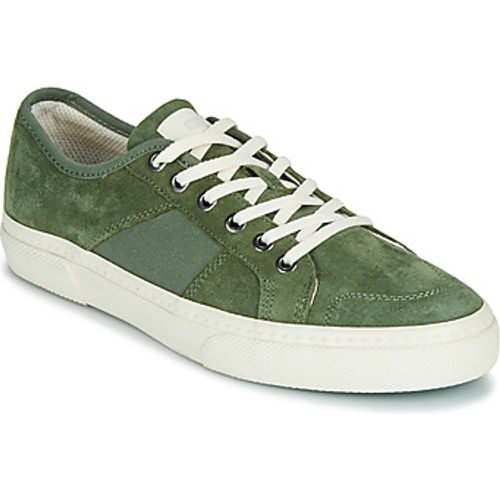 Globe Sneaker SURPLUS - Globe - Modalova