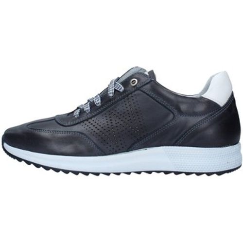 Melluso Sneaker U16233A - Melluso - Modalova