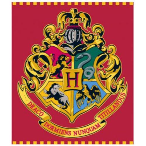 Harry Potter Decke HP 52 48 128 - Harry Potter - Modalova