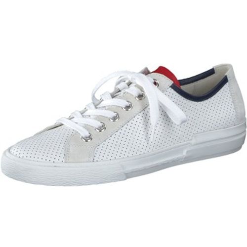 Paul Green Sneaker Sneaker - Paul Green - Modalova