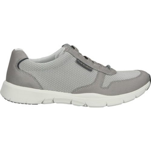 Pius Gabor Sneaker Sneaker - Pius Gabor - Modalova