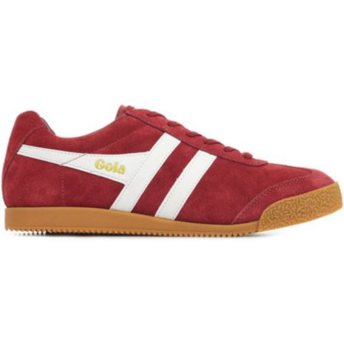 Gola Sneaker Harrier Suede - Gola - Modalova