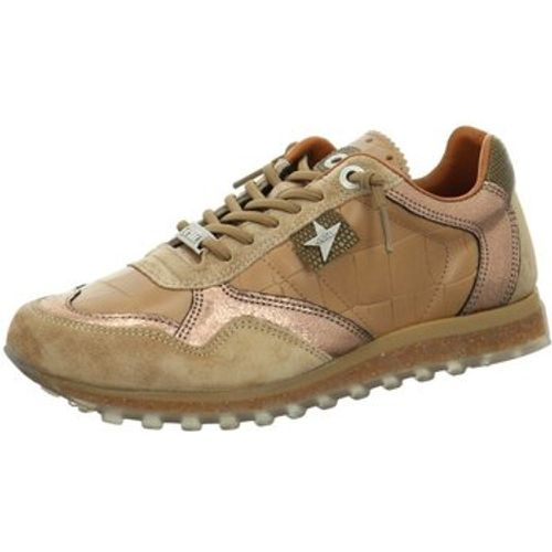 Halbschuhe Schnuerschuhe C848 - Cetti - Modalova